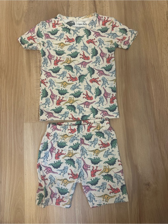 Copper Pearl Other - Copper Pearl Jurassic Park Kids Dinosaur Pajama Set - Multicolor Dino Print